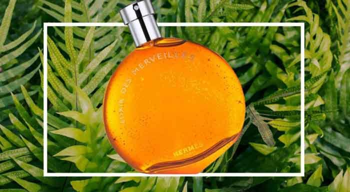 Top 5 chai nước hoa hương phương đông Orietal được ưa chuộng - 2