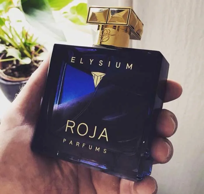 Nước hoa Roja Dove mùi nào rất thơm? Top 5 chai bán chạy - 10