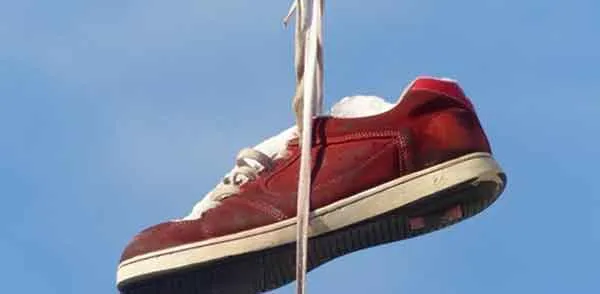 11+ tips khử mùi hôi giày Adidas hiệu quả nhanh - bảo vệ giày được nhiều khách hàng yêu thích - 3