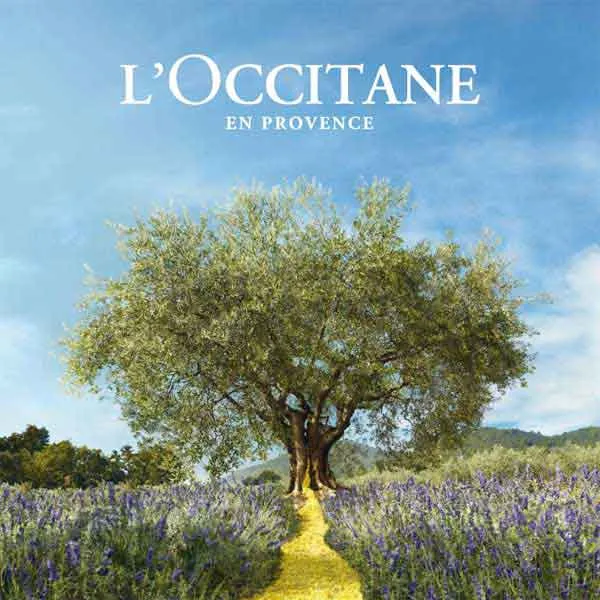Mỹ phẩm L’Occitane có tốt không? 10 sản phẩm bán chạy của L’Occitane