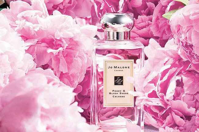 Top 5 thương hiệu nước hoa của Anh bán chạy và nổi tiếng - 27