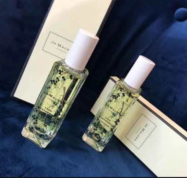 Hương Cedarwood là gì? Review 6 chai nước hoa hương gỗ tuyết tùng rất thơm