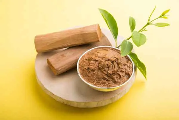 Hương Cedarwood là gì? Review 6 chai nước hoa hương gỗ tuyết tùng rất thơm