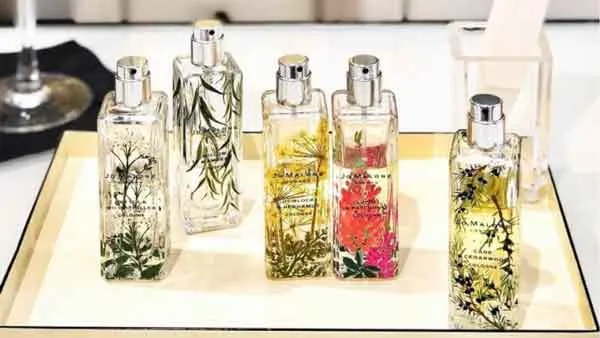Hương Cedarwood là gì? Review 6 chai nước hoa hương gỗ tuyết tùng rất thơm