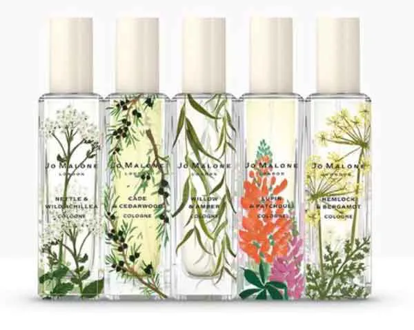 Hương Cedarwood là gì? Review 6 chai nước hoa hương gỗ tuyết tùng rất thơm
