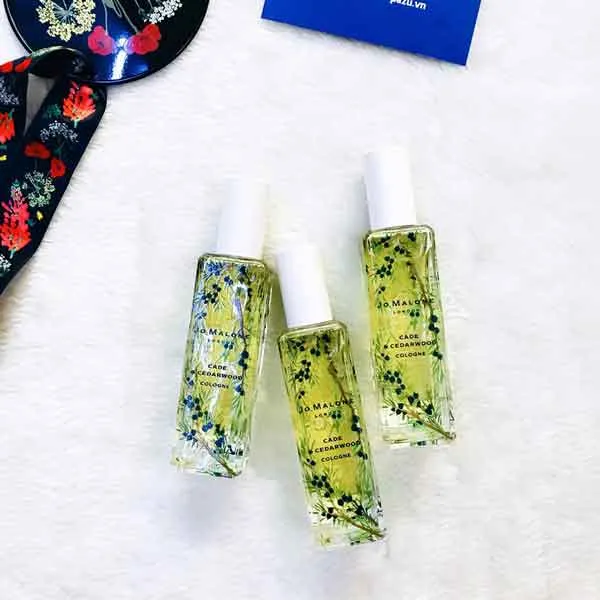 Hương Cedarwood là gì? Review 6 chai nước hoa hương gỗ tuyết tùng rất thơm