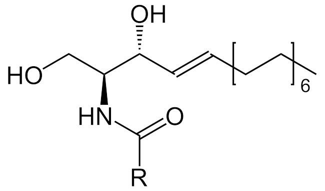 Ceramide là gì? Tác dụng và hiệu quả dưỡng da khỏe đẹp bất ngờ