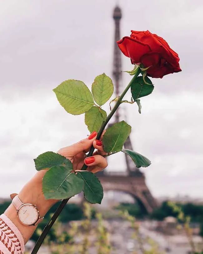 Top 20+ mẫu đồng hồ đeo tay nữ đẹp món quà 8/3 ngọt ngào và ý nghĩa