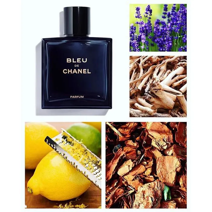 Hương Cedarwood là gì? Review 6 chai nước hoa hương gỗ tuyết tùng rất thơm