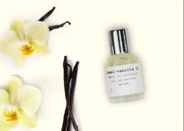 Nước hoa mùi Vanilla là gì? Top 11 chai nước hoa mùi Vanilla thơm giá giá cả cạnh tranh