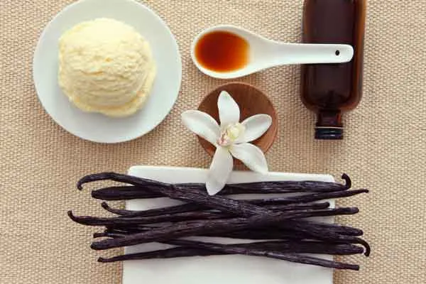 Nước hoa mùi Vanilla là gì? Top 11 chai nước hoa mùi Vanilla thơm giá giá cả cạnh tranh