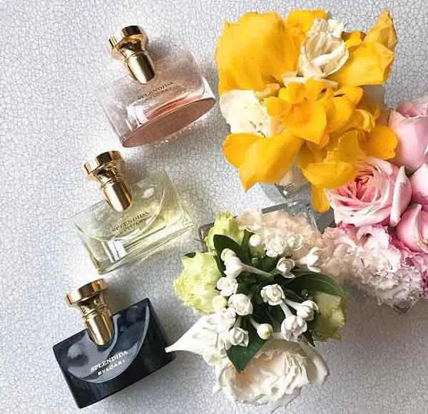 Top 17 chai nước hoa nữ tông hoa hợp dùng mùa hè, giá dưới 3 triệu