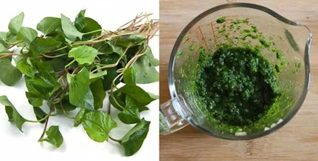 10 cách hỗ trợ làm sạch mụn lưng hiệu quả tại nhà và các loại sữa tắm giảm mụn dưỡng da được nhiều khách hàng yêu thích