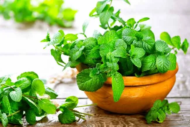 10 cách hỗ trợ làm sạch mụn lưng hiệu quả tại nhà và các loại sữa tắm giảm mụn dưỡng da được nhiều khách hàng yêu thích