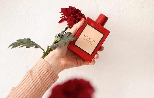 Top 15+ chai nước hoa Gucci cho nữ hương thơm sang trọng quyến rũ