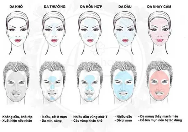 Cách chăm sóc da hỗn hợp thiên dầu và 7 kem dưỡng cho da hỗn hợp thiên dầu được nhiều khách hàng yêu thích