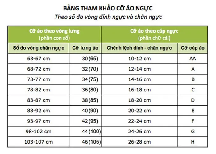 Cách đo size áo ngực chuẩn kích thước Việt Nam và Quốc Tế