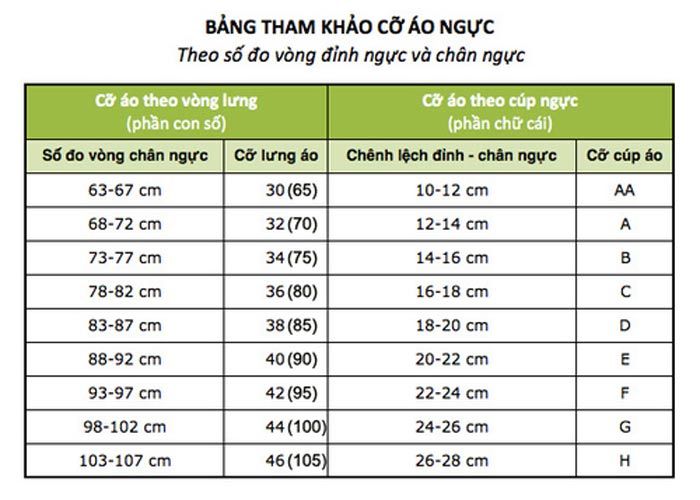 Cách đo size áo ngực chuẩn kích thước Việt Nam và Quốc Tế