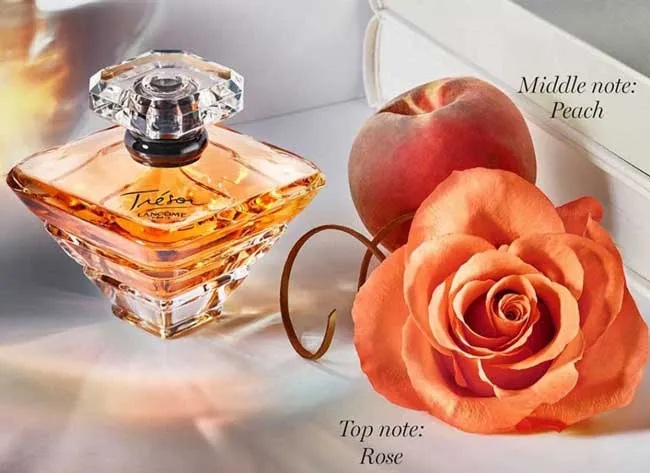 Top những chai nước hoa limited edition cao cấp nổi tiếng