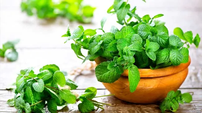 15 cách chữa hôi nách giúp cải thiện đáng kể điểm tại nhà được nhiều người áp dụng