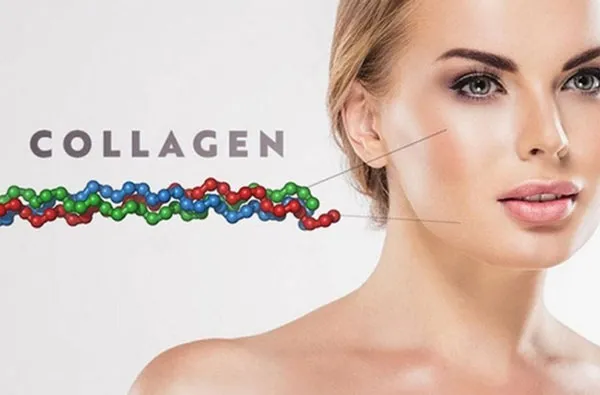 Tác dụng của Collagen và 9+ mỹ phẩm bổ sung collagen chất lượng tốt cho da