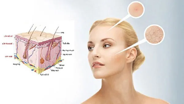 Tác dụng của Collagen và 9+ mỹ phẩm bổ sung collagen chất lượng tốt cho da
