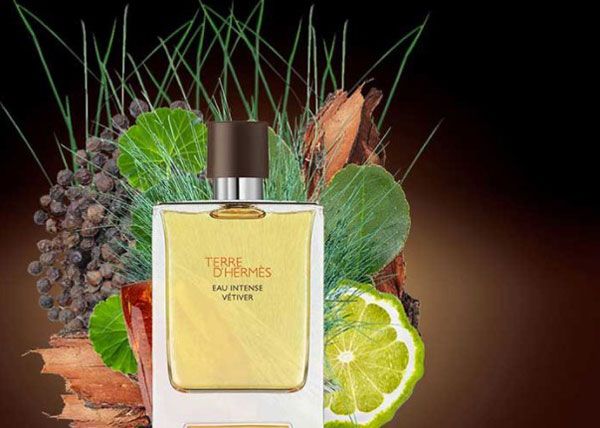 Top 7 chai nước hoa Hermès nam chính hãng có mùi hương đầy nam tính