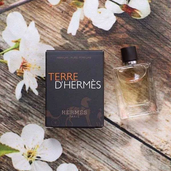 Nước Hoa Nam Hermes Terre D'hermes Paris Parfum Pure Perfume For Men 75ml - Nước hoa - Vua Hàng Hiệu