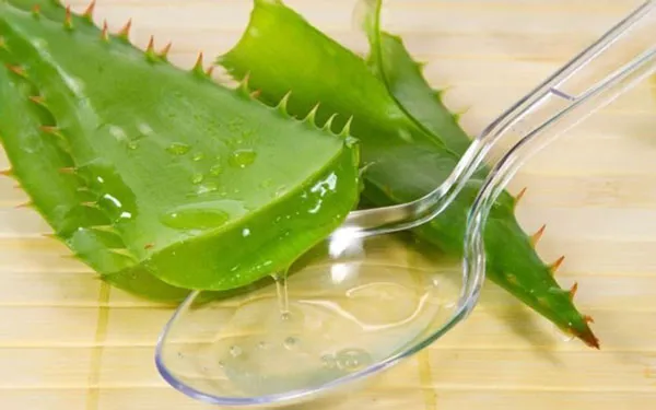 Da khô nên chọn mặt nạ gì? Top 9+ mặt nạ dành cho da khô giúp da căng mướt
