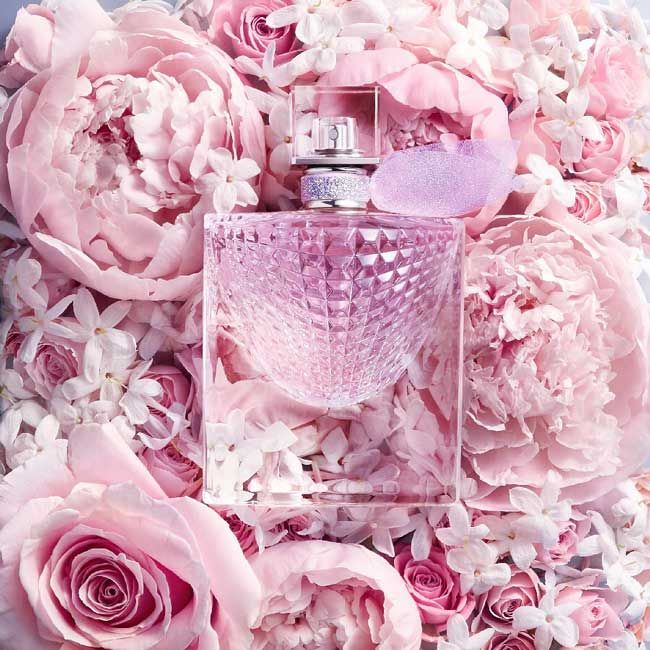 Top 13 chai nước hoa nhóm hương Floral Woody Musk thơm lâu