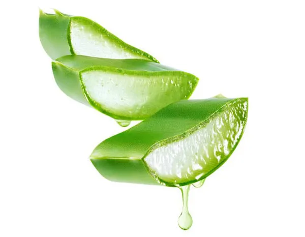 Aloe vera là gì? Công dụng của Aloe vera trong mỹ phẩm như thế nào?