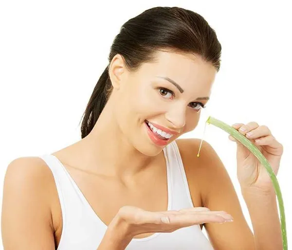 Aloe vera là gì? Công dụng của Aloe vera trong mỹ phẩm như thế nào?