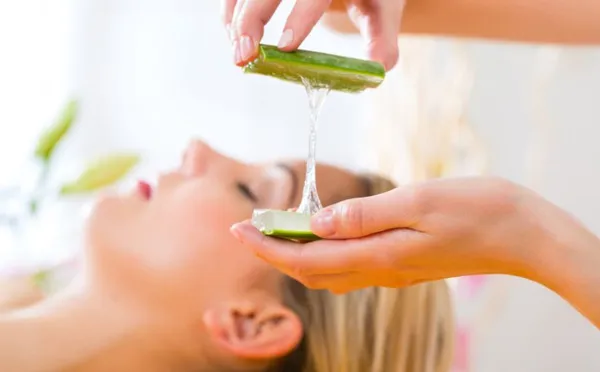 Aloe vera là gì? Công dụng của Aloe vera trong mỹ phẩm như thế nào?