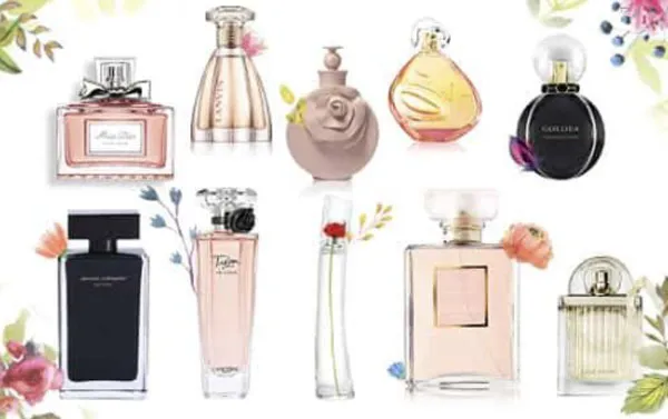 Body mist là gì? Nước hoa và body mist khác nhau như thế nào?