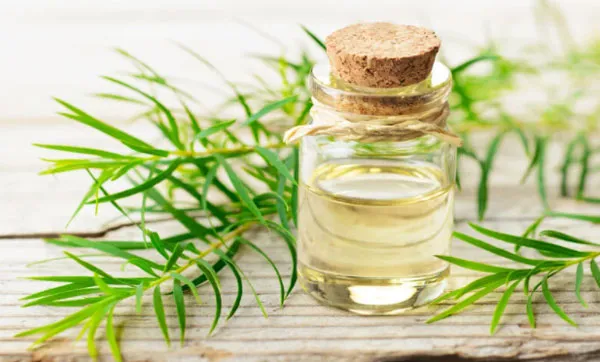 Hướng dẫn 10 cách làm nước hoa hồng dưỡng da đơn giản tại nhà - 7