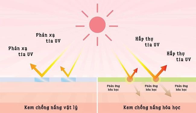 Top 5 kem chống nắng dành cho da thường chất lượng tốt bảo vệ tối ưu
