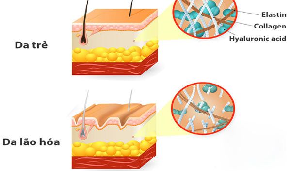 Review 11 loại serum bổ sung collagen giúp da săn chắc giảm nhăn - 1