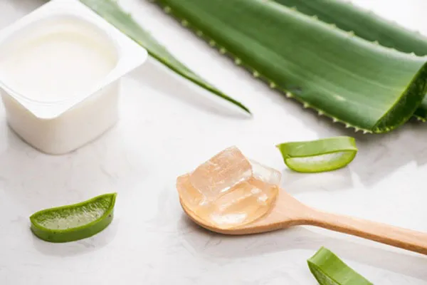 Top 8 công thức làm mặt nạ nha đam cấp ẩm dưỡng da mịn màng - 4