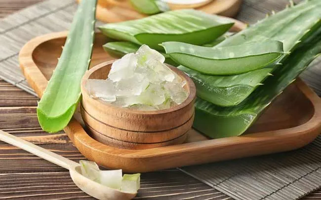 Top 8 công thức làm mặt nạ nha đam cấp ẩm dưỡng da mịn màng - 1