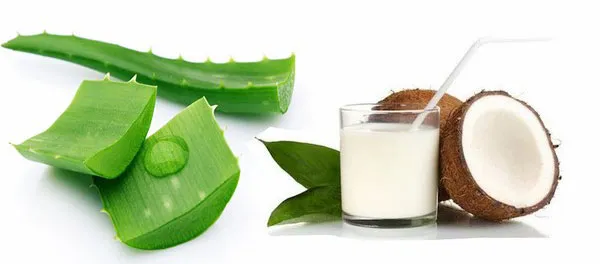 Top 8 công thức làm mặt nạ nha đam cấp ẩm dưỡng da mịn màng - 11