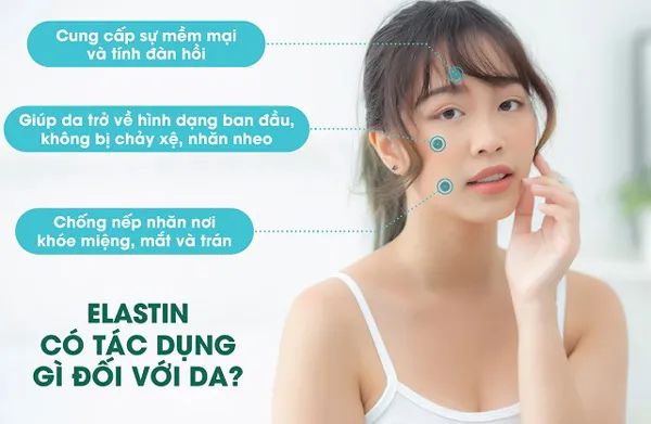 Elastin là gì? Hướng dẫn cách bổ sung Elastin cho làn da đúng cách - 2