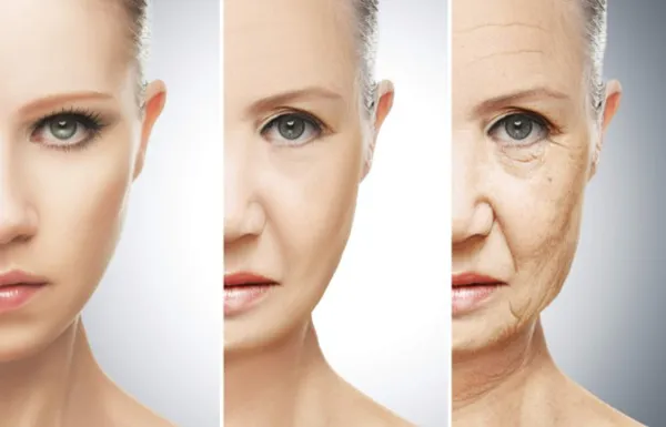 Elastin là gì? Hướng dẫn cách bổ sung Elastin cho làn da đúng cách - 3