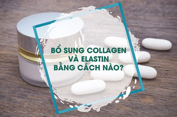 Elastin là gì? Hướng dẫn cách bổ sung Elastin cho làn da đúng cách - 5