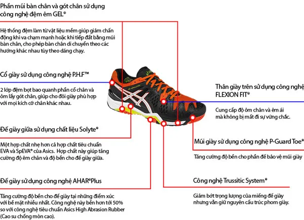 Giày Asics là của nước nào? Top 4 giày thể thao Asics được yêu rất thích