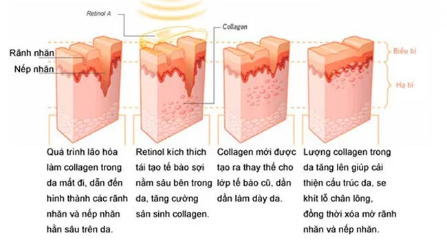So sánh retinol của Obagi và Paula’s Choice loại nào tốt hơn? - 2