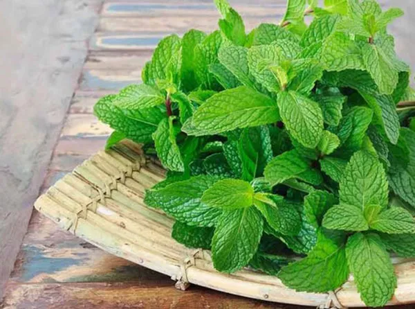 Top 21 thực phẩm giảm mỡ bụng nhanh chóng hiệu quả trong 1 tuần