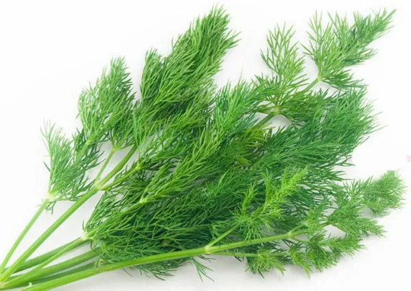 Top 21 thực phẩm giảm mỡ bụng nhanh chóng hiệu quả trong 1 tuần