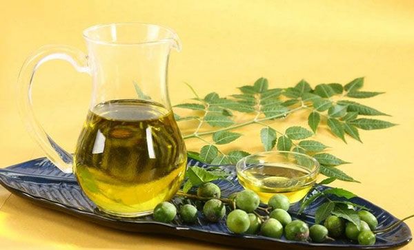 12 cách chữa viêm nang lông nhẹ tại nhà hiệu quả và tiết kiệm