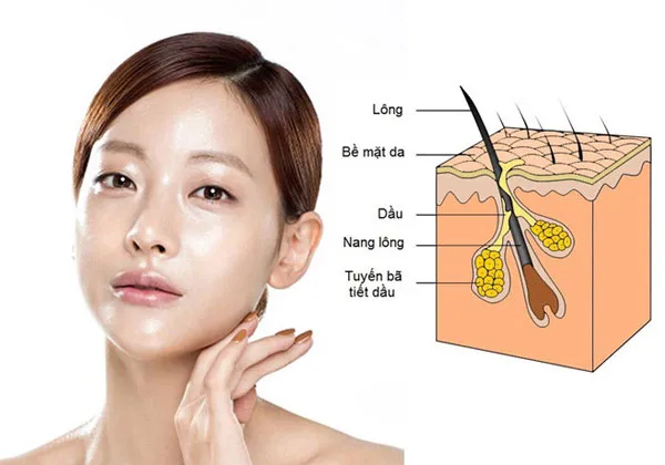 Top 19 sản phẩm skincare cho da dầu mụn lỗ chân lông to được nhiều khách hàng yêu thích