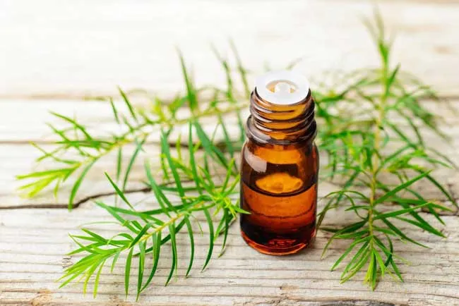Serum hỗ trợ làm sạch mụn là gì? Top 9 serum hỗ trợ làm sạch mụn chất lượng tốt năm 2025